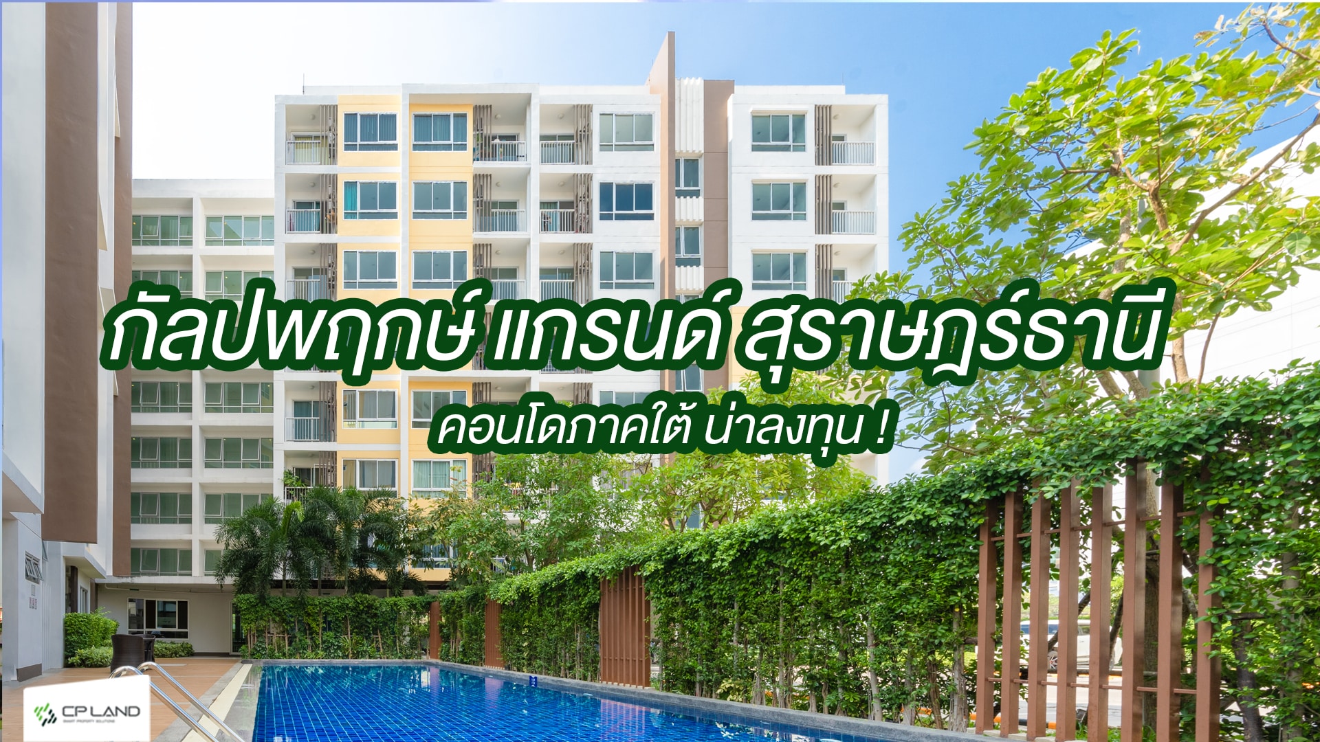 คอนโด กัลปพฤกษ์ แกรนด์ สุราษฎร์ธานี