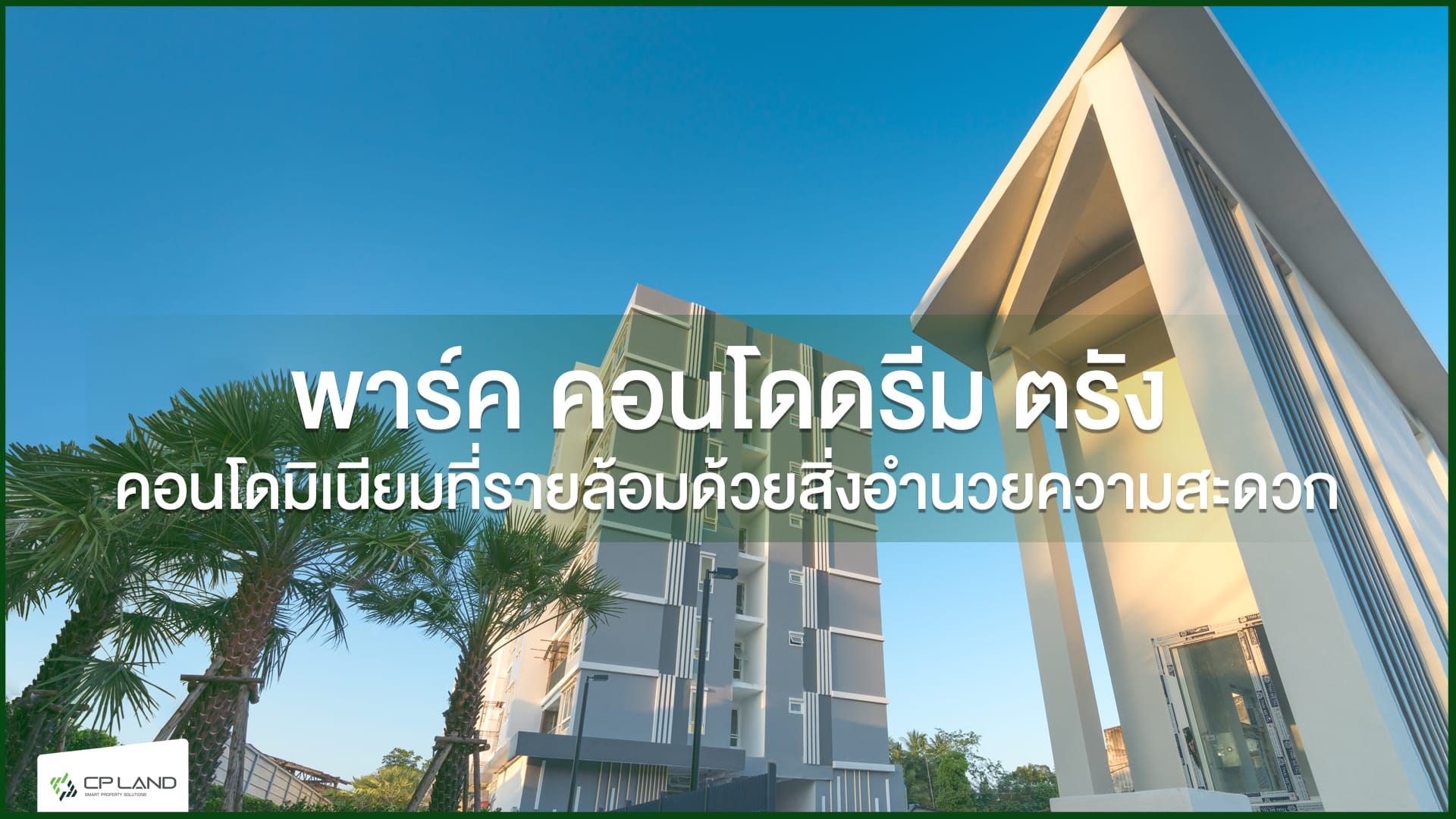 คอนโดตรัง